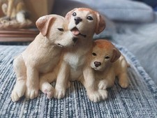 Dogs And Pups Galore Three Golden Labrador Pups A1645