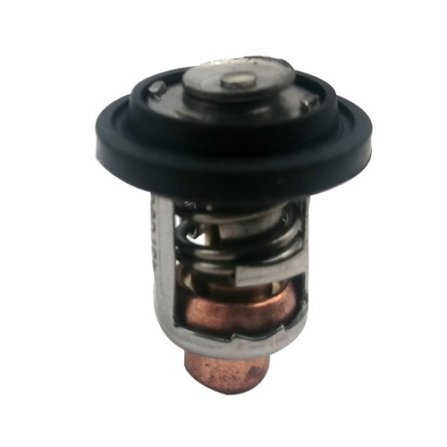 Marine thermostat for johnson - marine,