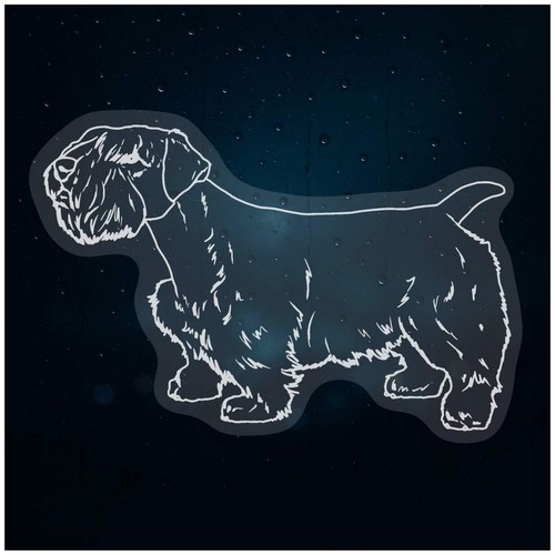 Sealyham terrier static - 'sealyham,