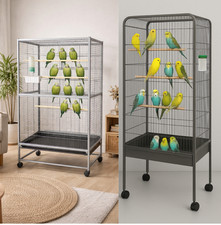Steel Standing Cage for