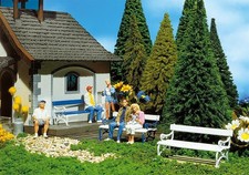 Brand New Pola Gauge G, 8