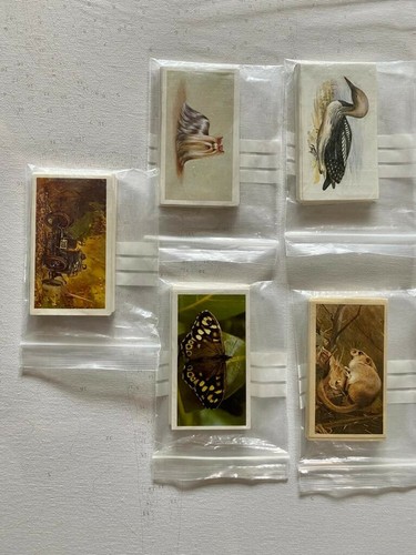 Grandee cigar cards