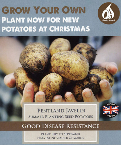 Pentland javelin summer - pentland,