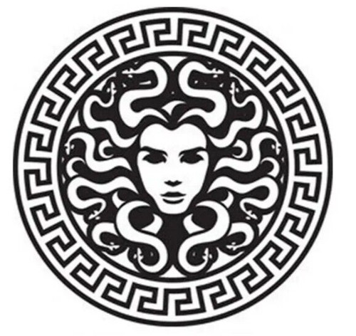Medusa vinyl sticker - vinyl, for