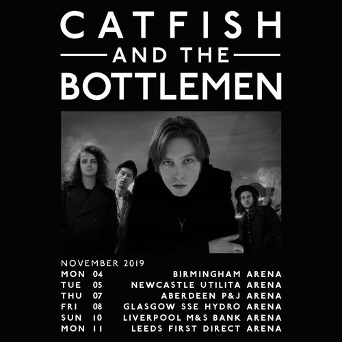 Catfish and the bottlemen - the,