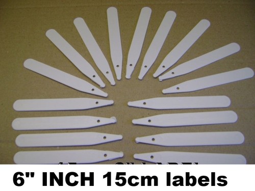 White plastic plant - ,