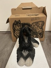 Sandicast Afghan Hound