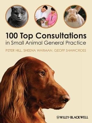 100 top consultations - 100,