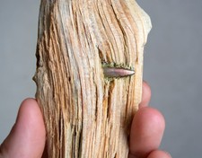 Unique WW1 Battlefield Relic