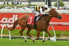 Place Bet Profits Horse Racing