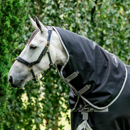 Horseware amigo bravo xl - horseware,