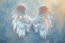 Stunning Angel Wings Canvas