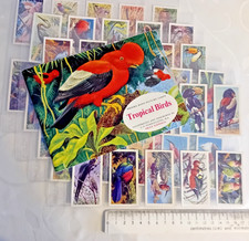 Tropical Birds, 50/50 1961 Brooke Bond Tea Cards Set with Picture Card Album