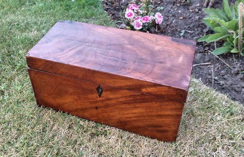Georgian flame mahogany - mahogany, 3