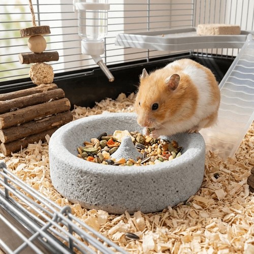 Anti spill parrot food bowl - parrot,