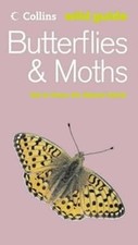 Butterflies and Moths (Collins