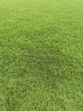 42mm Premium Quality NAMGRASS Artificial Grass Offcut