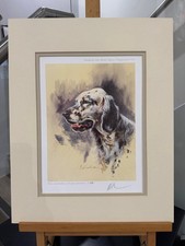 Mick Cawston - English Setter