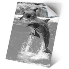 1 x Vinyl Sticker A2 - BW - Jumping Dolphins Dolphin #35606