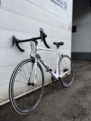 Plant carbon fibre custom - x,