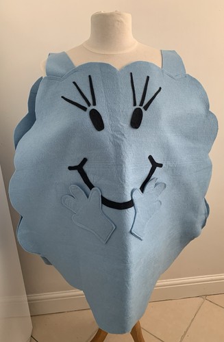 Home made fancy dress - made,