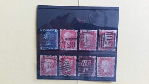 Blue penny reds - gb, x