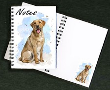 Labrador Retriever Dog