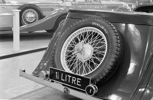 Series motor show - mg, t