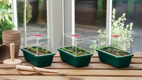 Mini high dome propagator - 3,