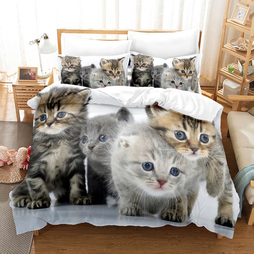 Cute cat lovely kitten - cute,