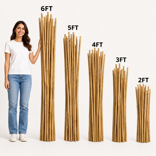 Bamboo garden canes heavy - bamboo,