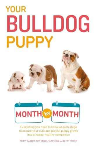 Your bulldog puppy - bulldog,