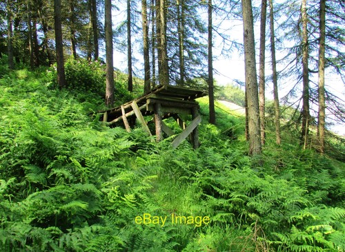 Photo 6x4 mountain bike jump - photo,