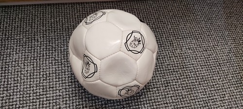 Scania football - scania,