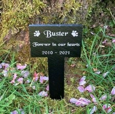 Personalised Engraved Pet
