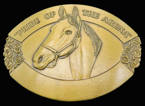 Pride the arena horse - of,