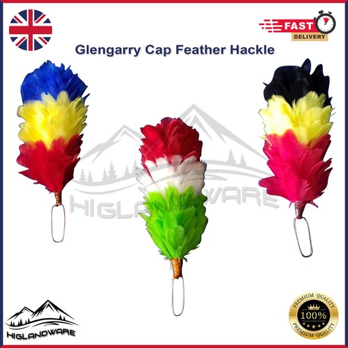 Scottish glengarry cap feather - scottish,
