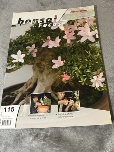 Bonsai focus american - bonsai, ed