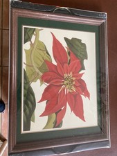 Vintage Pimpernel Poinsettia