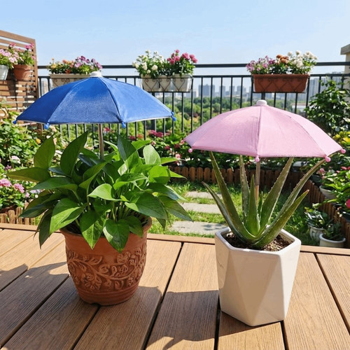 Plant umbrella garden - umbrella,
