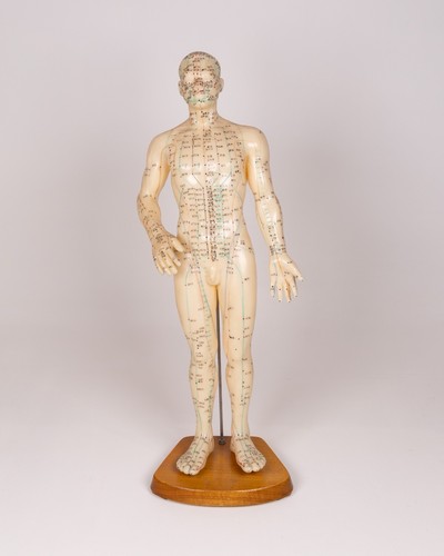 Vintage anatomical acupuncture - vintage,