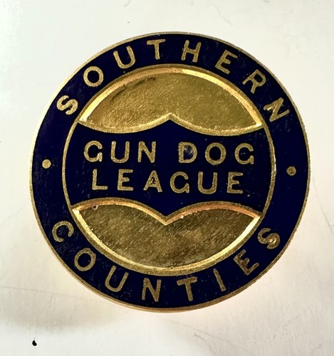 Southern counties gundog - southern,