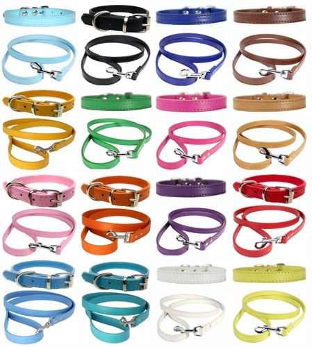 Vibrant leather dog collar - vibrant, &