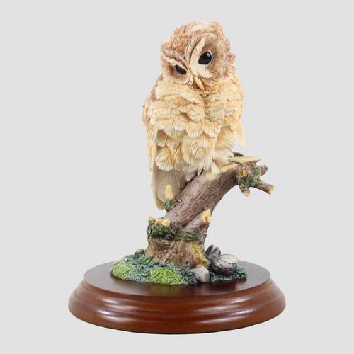 Tawny owl style seven border - tawny,