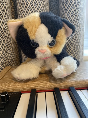 Kitty kittens - kitty, by