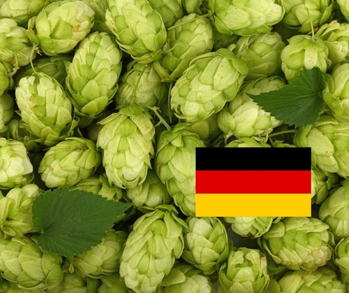 Hallertau blanc whole hops - hallertau,