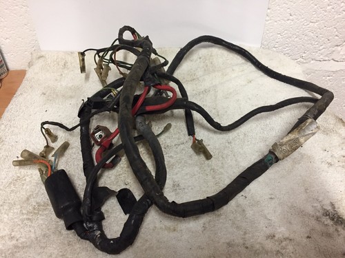 Honda mini vision wiring loom - vision,