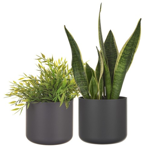 Plastic modern plant flower - plastic,