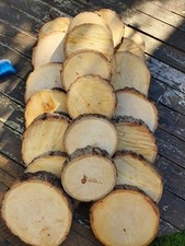 Large Wood Discs Circles Slices 17cm To 23 Cm