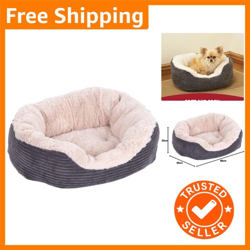 Luxurious large dog - luxurious,